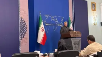 بقائی: قبل از نشست ژنو، سفر به برخی کشورهای منطقه در دستورکار است
