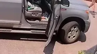 ورود غیرمنتظره خرس راننده وانت را شوکه کرد