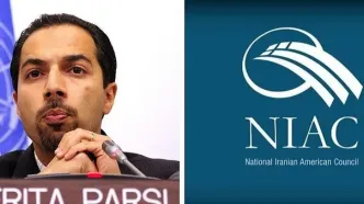 همه چیز درباره نایاک/ چه کسانی هستند و چه هدفی دارند؟