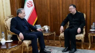 دیدار سفیر ایران در گرجستان با وزیر امور خارجه