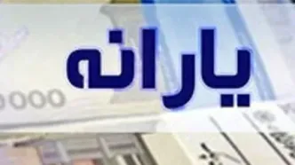 یارانه بیش از ۶.۵ میلیون مشتری بانک ملی ایران پرداخت شد