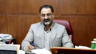 تشریح آثار حقوقی و اقتصادی رای دیوان عالی کشور در خصوص تخلف واردکنندگان کالا از جهت تاخیر در انجام تعهدات ارزی