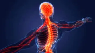 مشکلات سیستم عصبی اینگونه آلارم می دهد!