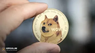 پیش‌بینی قیمت دوج‌کوین؛ حمایت مهم DOGE حفظ می‌شود؟