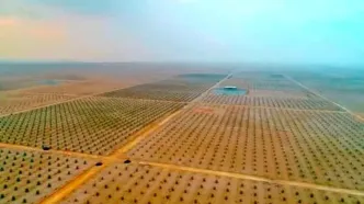 استاندار کربلا: جسم ساقط شده در صحرای کربلا پهپاد است