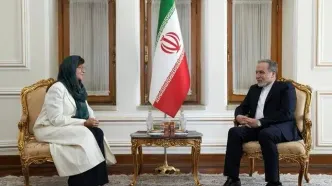 هماهنگ کننده مقیم سازمان ملل استوارنامه خود را تسلیم عراقچی کرد