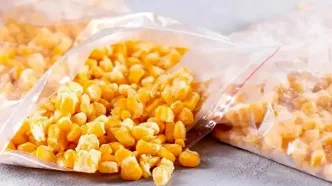 ۳ روش ساده برای نگهداری ذرت پخته در یخچال و فریزر
