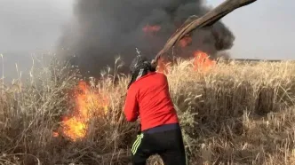 آتش‌سوزی در خاییز بهبهان؛ استاندار خوزستان خواستار اعزام بالگرد آب‌پاش شد