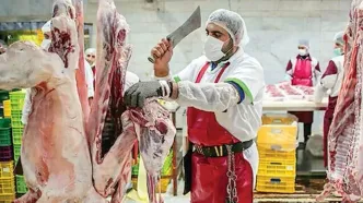 روند تولید دام و گوشت قرمز مطلوب است