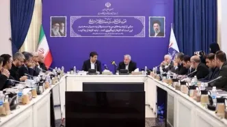 صالحی امیری: اینترنت پرسرعت پیشران احیای اقتصاد روستایی است