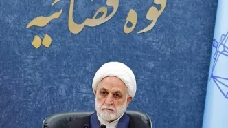 اژه‌ای: در هیچ یک از رسیدگی‌های قضایی سوگیری سیاسی نداریم