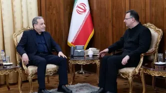 دیدار سفیر ایران در گرجستان با وزیر امور خارجه