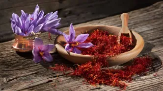 طلای سرخ زیر سایه برندهای خارجی