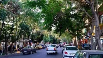 تصویر متفاوتی که در خیابان مشهور تهران دیده شد