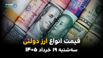قیمت ارز دولتی امروز سه‌شنبه ۱۹ خرداد ۱۴۰۵ | آخرین نرخ دلار، یورو و ارزهای رسمی