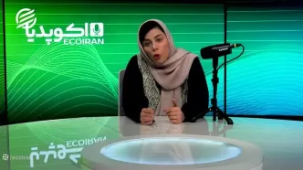 ماجرای اعزام نیرو به لبنان و مخالفت رهبری چه بود؟