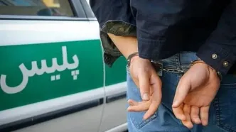 دختر21ساله طلا و دلارهای جراح زیبایی‌اش را دزدید