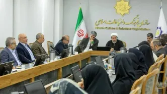 سازمان فرهنگ از بازیگران روایت‌سازی فرهنگی باشد