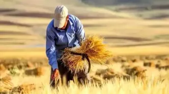 چه میزان از مطالبات گندمکاران پرداخت شد؟