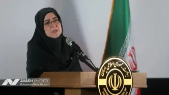 دولت لایحه منع خشونت علیه زنان را پس گرفت