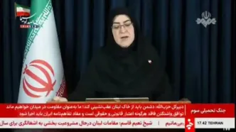 جزئیات رایزنی ایران و عمان درباره چارچوب اداره تنگه هرمز از زبان مهاجرانی