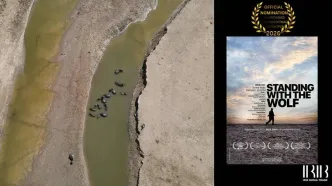 «ایستاده با گرگ» نامزد جایزه بهترین فیلم مستند جشنواره سینمایی هند شد