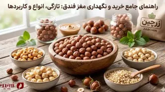 راهنمای کامل خرید و مصرف مغز فندق؛ از تشخیص کیفیت تا نگهداری