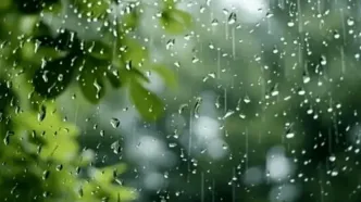 پیش بینی بارش‌های پراکنده در شمال و شمال غرب