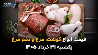 قیمت گوشت، مرغ و تخم مرغ امروز یکشنبه ۳۱ خرداد ۱۴۰۵ | تازه‌ترین نرخ بازار مصرف