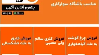 سامانه جدید جذب و توزیع آگهی وارد بازار شد/ «رینگ»،  پتلفرم جدید آگهی آنلاین وارد بازار شد