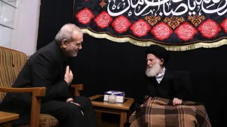 شبیری زنجانی خطاب به پزشکیان: طرح سخنان ناصحیح و بی‌انصافی‌ها گذراست