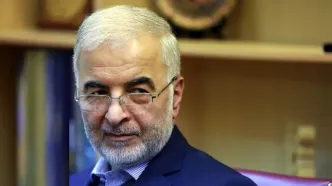 اجلاس شانگهای فرصتی بسیار خوب برای دیپلماسی منطقه‌ای است