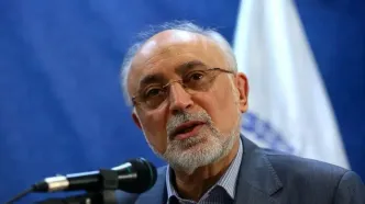 تصمیم رهبر شهید در مورد برنامه هسته‌ای چه بود؟/ روایت علی اکبر صالحی