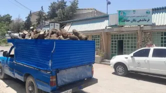 توقیف ۲.۳ تُن چوب جنگلی بلوط در شهرک صنعتی کرمانشاه