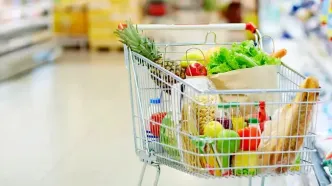 هزینه سبد حداقل خوراک ایرانیان در خرداد؛ برآوردهای جدید از افزایش فشار معیشتی