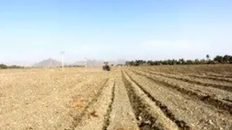 گزارش دادستان تهران از تخلفات در اراضی زراعی و باغ‌ها