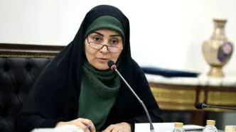 آخرین وضعیت بازگشت حجاج و برنامه‌ریزی برای سفر‌های اربعین