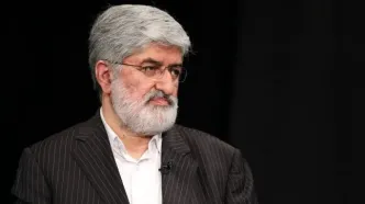 علی مطهری: بخشی از تجمعات علیه مذاکرات سازماندهی‌شده