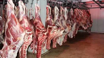 قیمت گوشت قرمز امروز ۲۰ خرداد ۱۴۰۵
