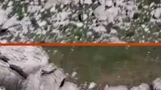 تعقیب نفس‌گیر بز کوهی توسط گرگ در کوهستان‌های کردستان