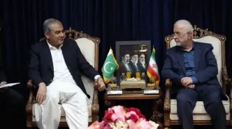 وزیر کشور پاکستان حامل پیام مهم برای رهبر انقلاب است