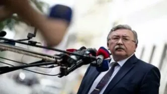 اولیانوف: ایران پول‌های مسدود شده خود را پس‌می‌گیرد