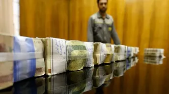 بهترین راهکار جذب سرمایه مردمی | حمید حسینی: تخمین زده می‌شود که تا ۱۰۰ میلیارد دلار نقدینگی دلاری نزد مردم باشد