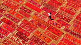 تصاویر؛ تبدیل مزارع گندم به صحنه‌ای از فرش‌های رنگین