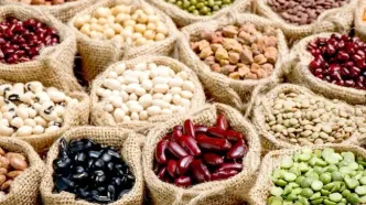 بلاتکلیفی مطالبات ارزی واردکنندگان حبوبات
