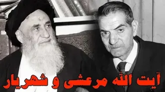 از خواب آیت‌ الله مرعشی تا شعر جاودانه شهریار؛ راز «علی ای همای رحمت» چه بود؟
