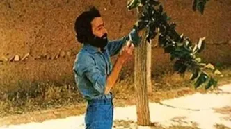 اگر سهراب سپهری به‌جای طارمی در زمین بود، شاید ایران می‌برد!