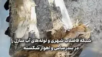فریب سبز؛ وقتی زیبایی دشمن شهروندان شد
