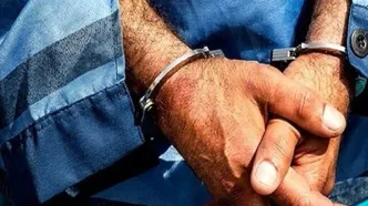 سرقت 3 میلیاردی سیسمونی کودک/ کشف اموال و دستگیری متهم