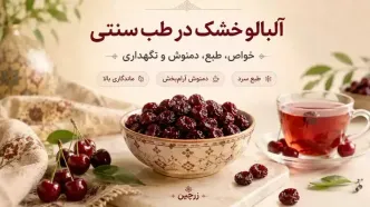 خواص آلبالو خشک چیست؟ طبع، نحوه مصرف و تفاوت با آلبالو تازه